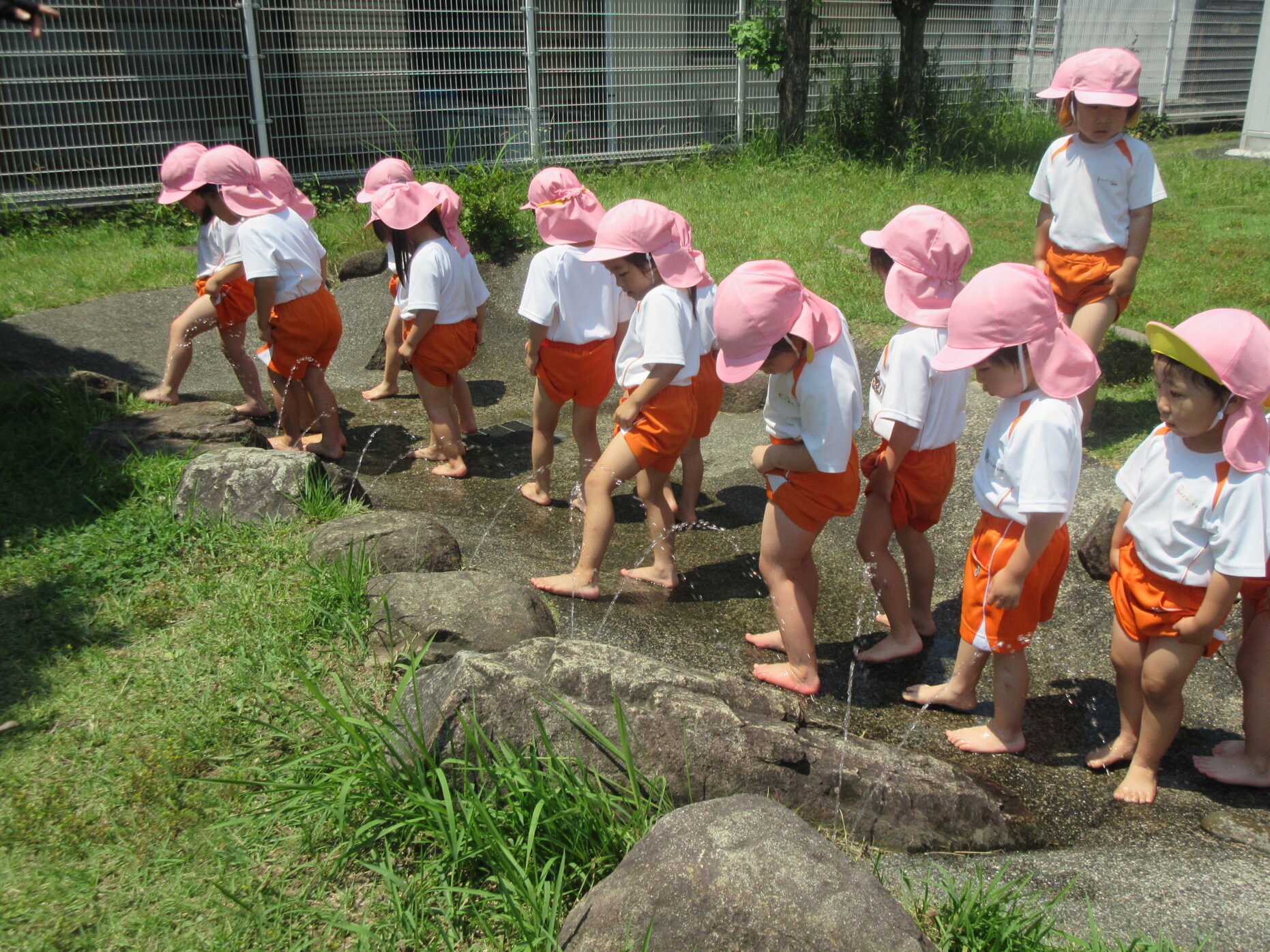 ใใญใฐ็ปๅ