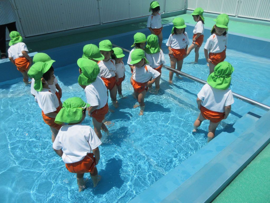 ใใญใฐ็ปๅ